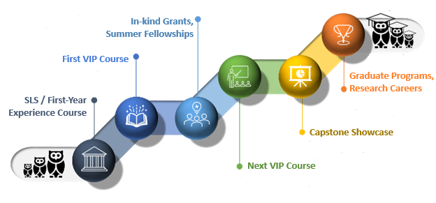 A schematic showing how students progress through the VIP Program from first-year students to graduate students and alumns with research-engaged careers