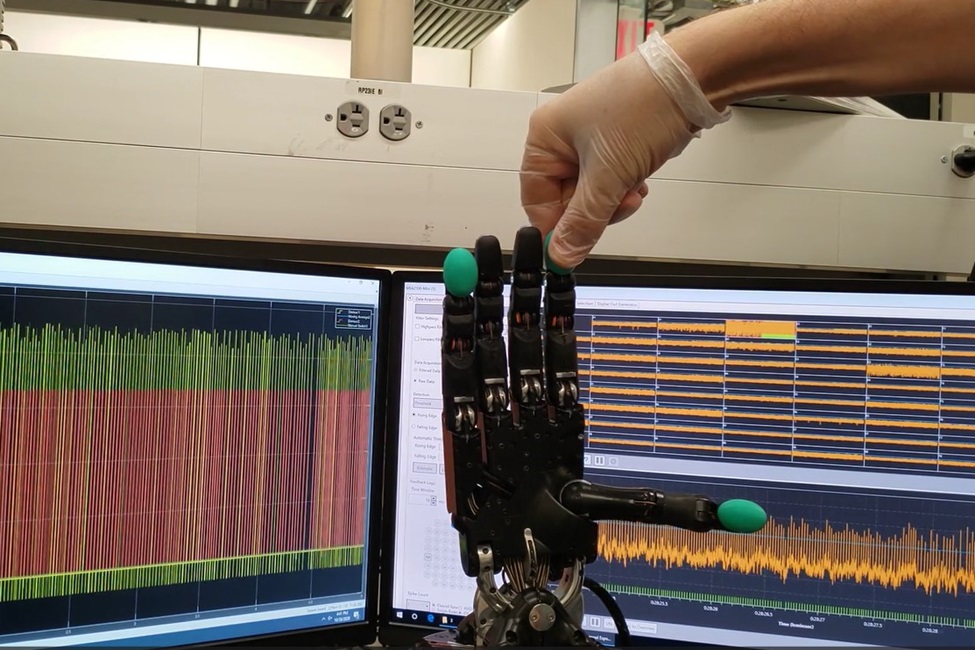 A novel biohybrid neuro-prosthetic research platform will help to refine control of artificial hands and lead to a better understanding of the complex sensation of touch.